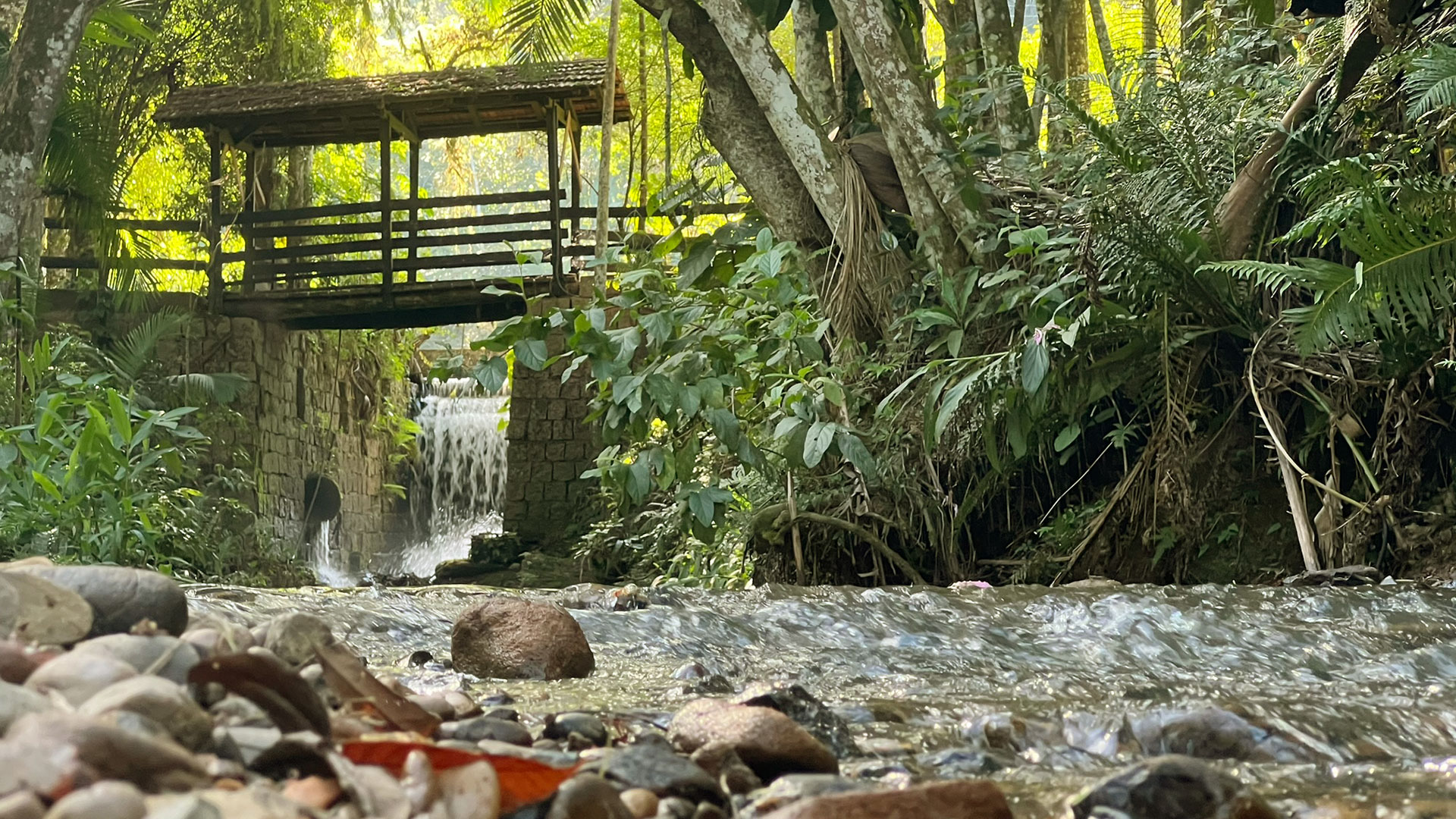 Floresta Nacional de Ibirama